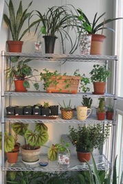 巧用搁架DIY 四大超级收纳法，告别日用杂品杂乱